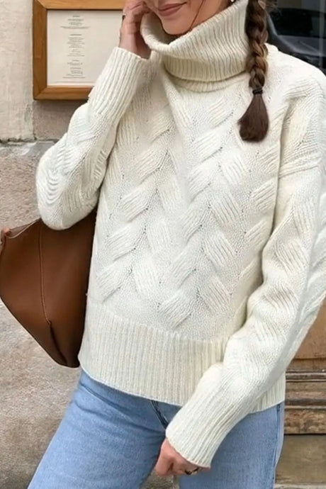 Samantha Ribbed Hem Turtleneck Long Sleeve Sweater